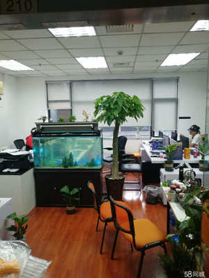 滬島創(chuàng)業(yè)孵化器管理、酒店管理與信息咨詢服務(wù)的綜合性探討