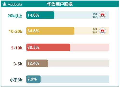 數據洞察之華為手機用戶畫像報告 酒店管理及信息咨詢服務的新機遇